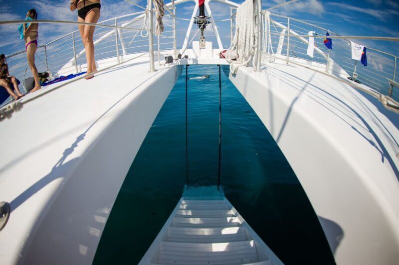 Key West: 2 Reef Snorkel With Sunset Cruise, Includes Drinks - FAQs  