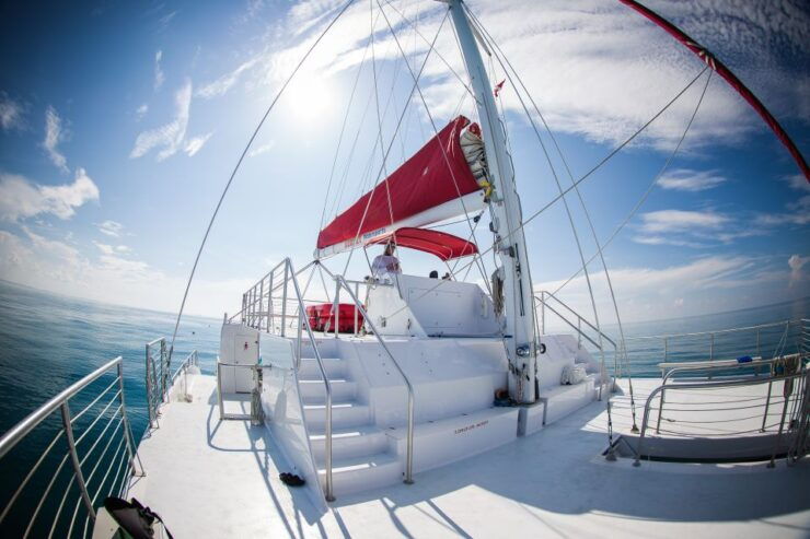 Key West: 3-Hour Afternoon Reef Snorkel With Drinks - Reef Snorkeling Experience
