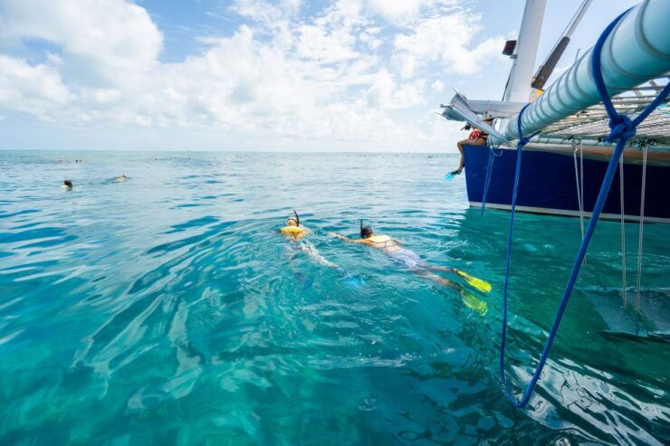 Key West: 3-Hour Coral Reef Snorkeling - Experience Highlights and Inclusions