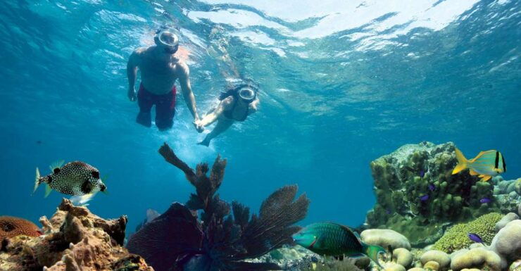 Key West: 3-Hour Snorkeling Adventure - Experience Highlights
