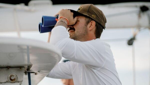 Key West: Afternoon Catamaran Sail and Dolphin Watch - Encounter Dolphins in Their Habitat