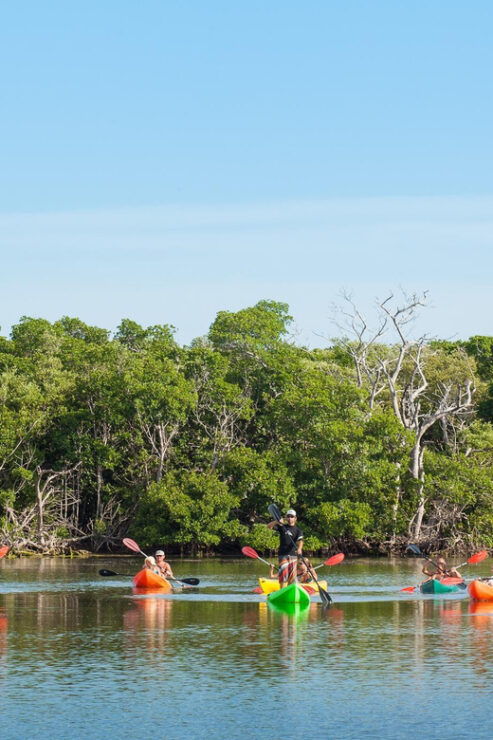 Key West Afternoon Sail, Snorkel, Kayak & Sunset Excursion - Sail, Snorkel, and Kayak