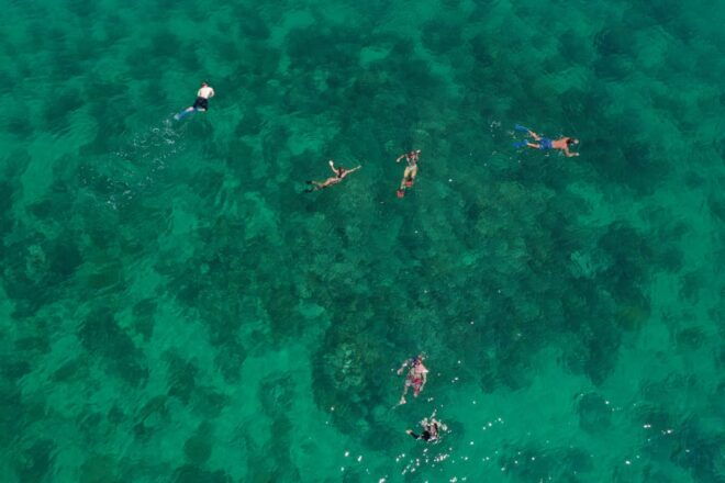 Key West Afternoon Sail, Snorkel, Kayak & Sunset Excursion - Activities and Experience