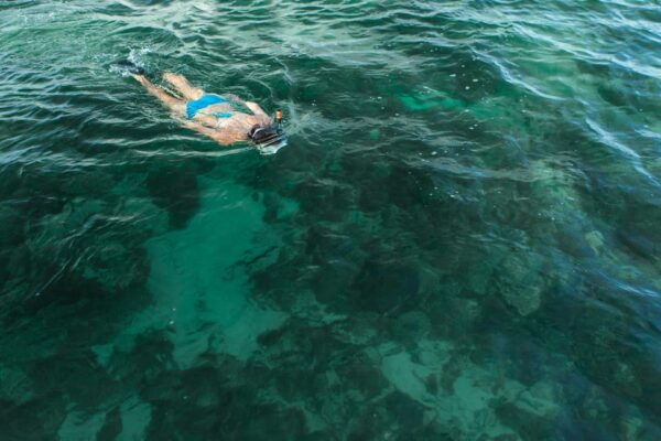 Key West Afternoon Sail, Snorkel, Kayak & Sunset Excursion - Duration and Price