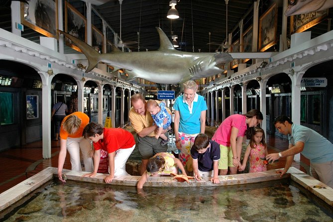 Key West Aquarium Admission Ticket - Visitor Reviews and Experiences