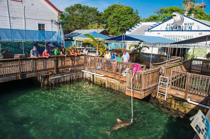 Key West Aquarium Admission Ticket - Directions and Ticket Details