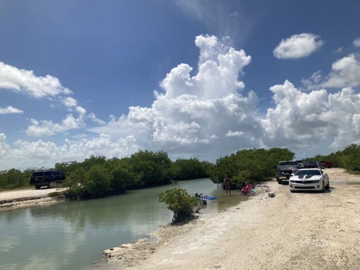 Key West: Audio Tours to Walk, Bike, or Drive in Key West - Experience Highlights
