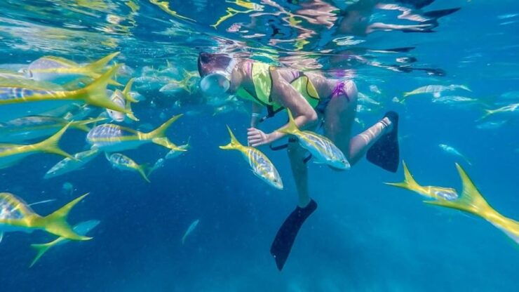 Key West: Catamaran Tour With Snorkeling & Water Activities - Activity Details
