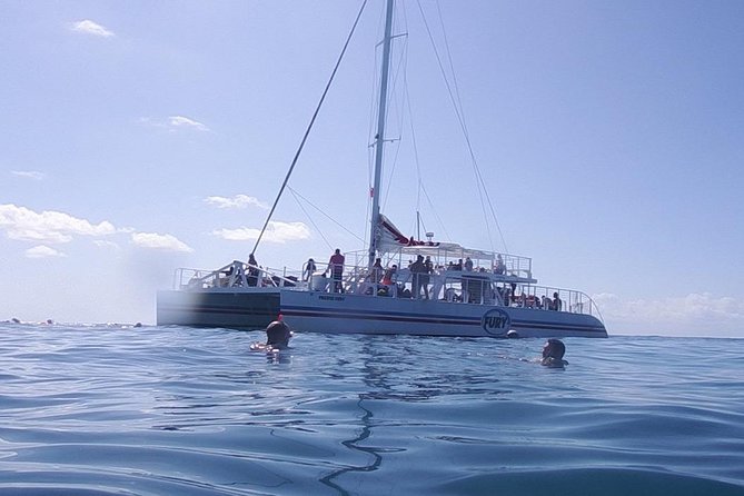 Key West Coral Reef Snorkel Adventure With Mimosas or Margaritas - Reviews and Feedback