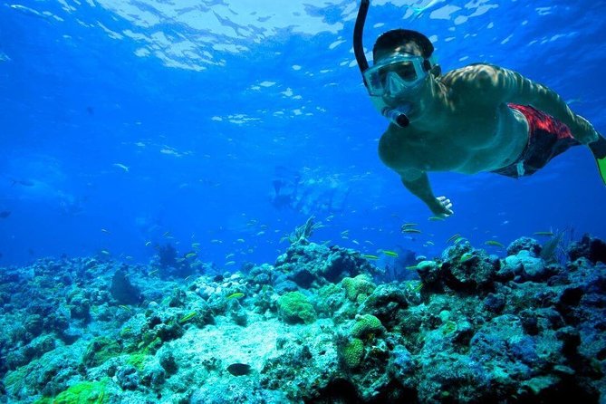 Key West Coral Reef Snorkel Adventure With Mimosas or Margaritas - Overall Experience