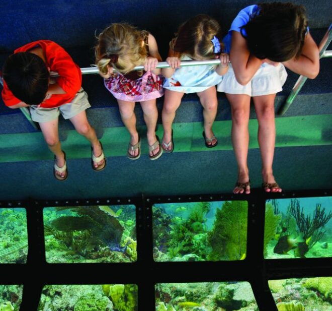 Key West: Day Trip From Fort Lauderdale W/ Activity Options - Outdoor Adventures