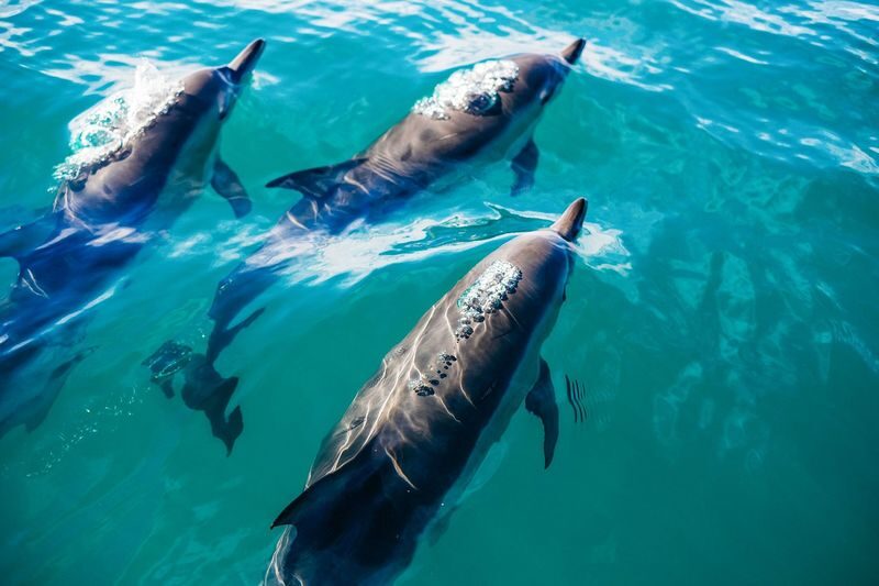 Key West Day Trip from Miami with Optional Activities - Choosing a Conch Train or water excursion
