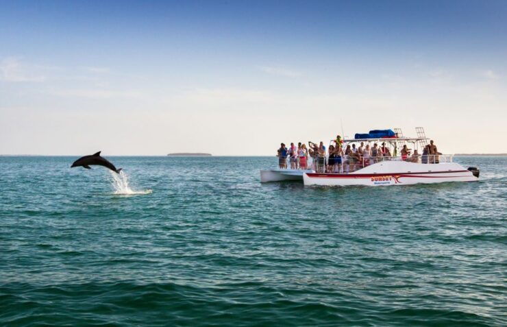 Key West: Dolphin and Snorkel Boat Tour - Activity Details