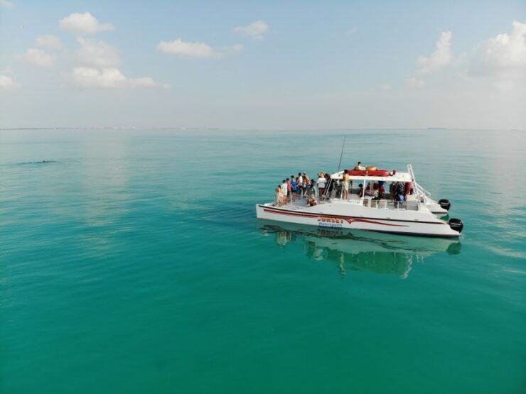 Key West: Dolphin and Snorkel Boat Tour - Experience Highlights