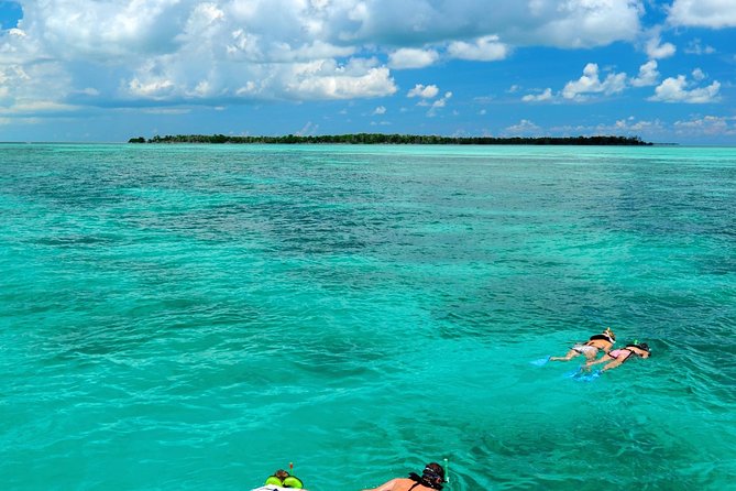 Key West Dolphin Watch and Snorkel Cruise - Pricing and Booking