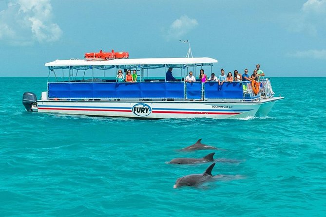 Key West Dolphin Watch and Snorkel Cruise - Additional Information