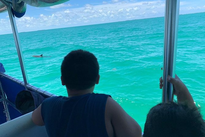 Key West Dolphin Watch and Snorkel Cruise - Positive Reviews