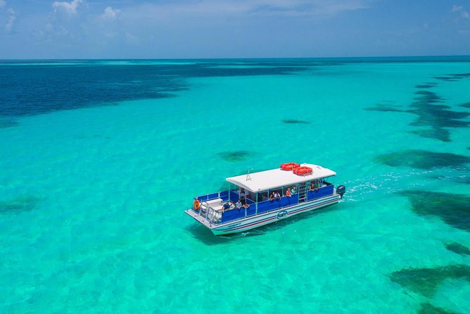 Key West Dolphin Watch and Snorkel Cruise - Safety Guidelines and Requirements