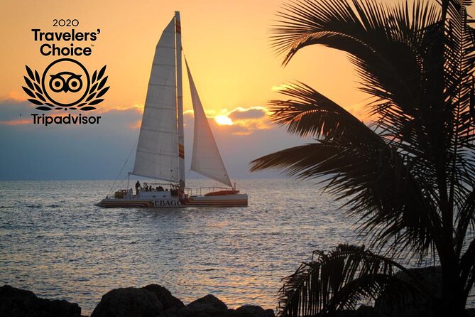Key West Dolphin Watch Sunset Sail With Premium Wine, and Tapas Pairings - Common Questions