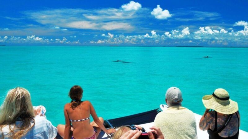 Key West: Dolphin Watching and Snorkeling Eco Cruise Tour - The Sum Up: Is This Tour Worth It?