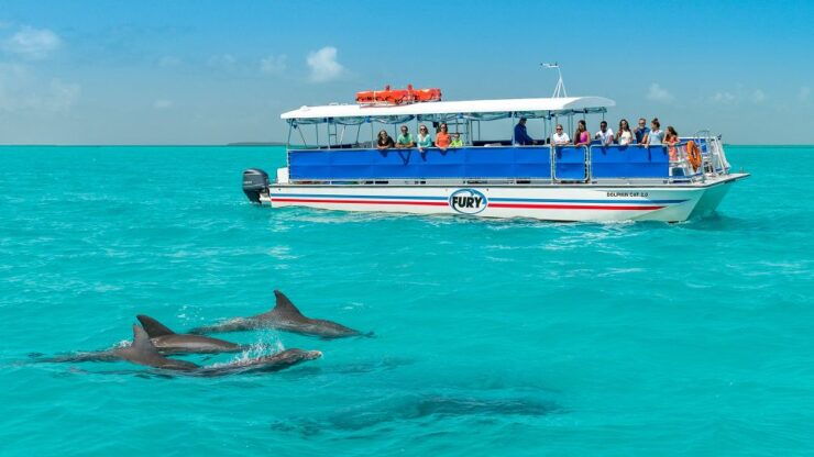 Key West: Dolphin Watching and Snorkeling Eco Cruise Tour - Activity Overview