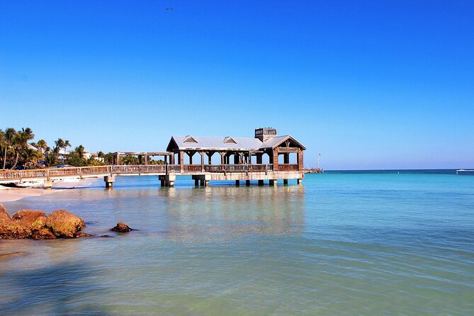 Key West Dolphin Watching and Snorkeling With Beer and Wine From Miami - Booking Information