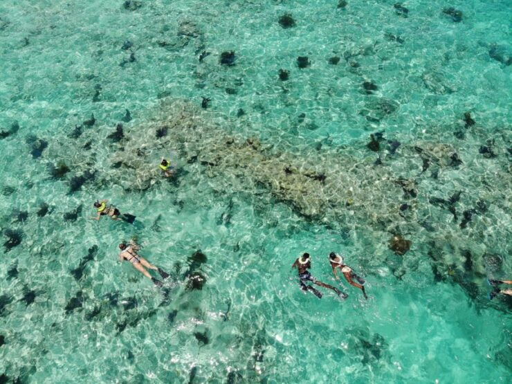 Key West: Dolphin Watching, Snorkeling, and Sunset Cruise - Snorkel in the National Wildlife Refuge