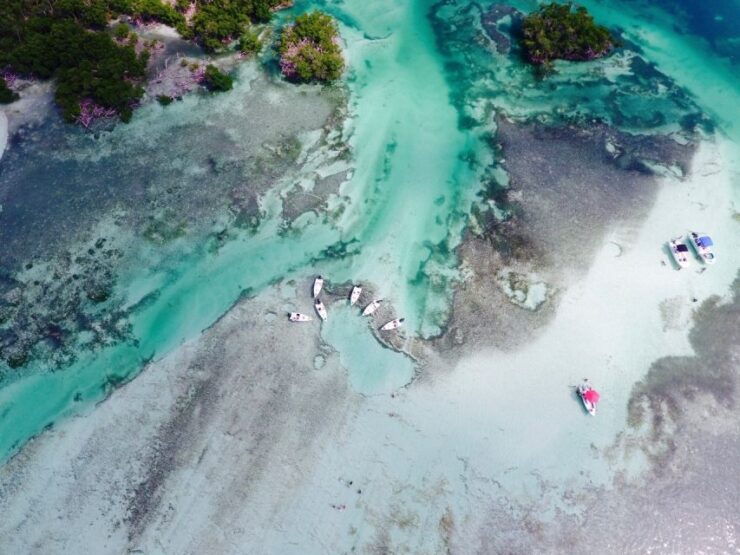 Key West: Eco Safari Tour With Snorkeling - Activity Details