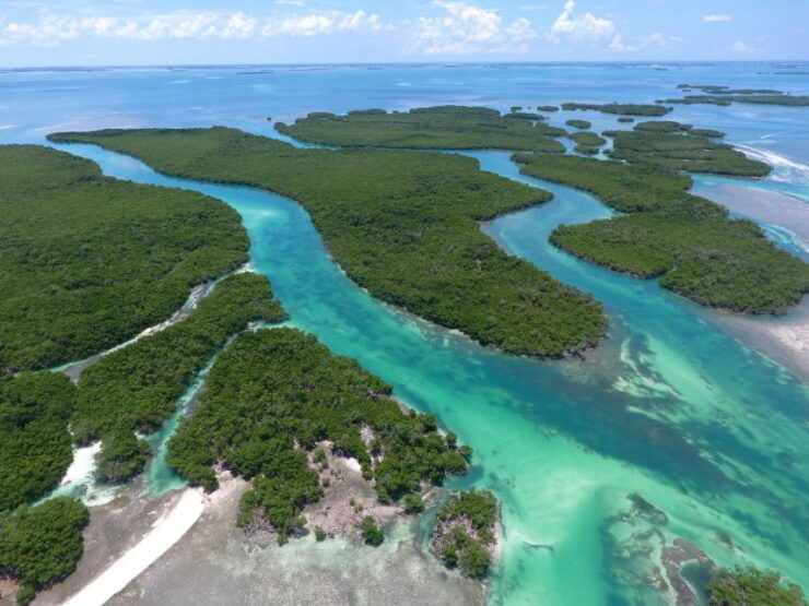 Key West: Eco Safari Tour With Snorkeling - Experience