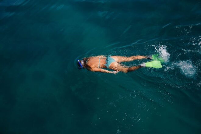 Key West: Eco Safari Tour With Snorkeling - Reserve Now & Pay Later