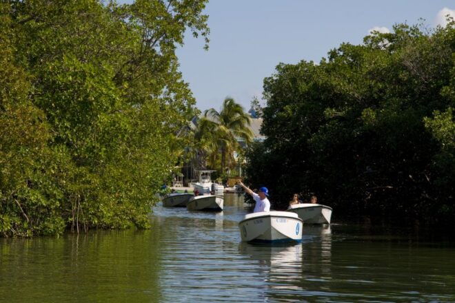 Key West: Eco Safari Tour With Snorkeling - Additional Options