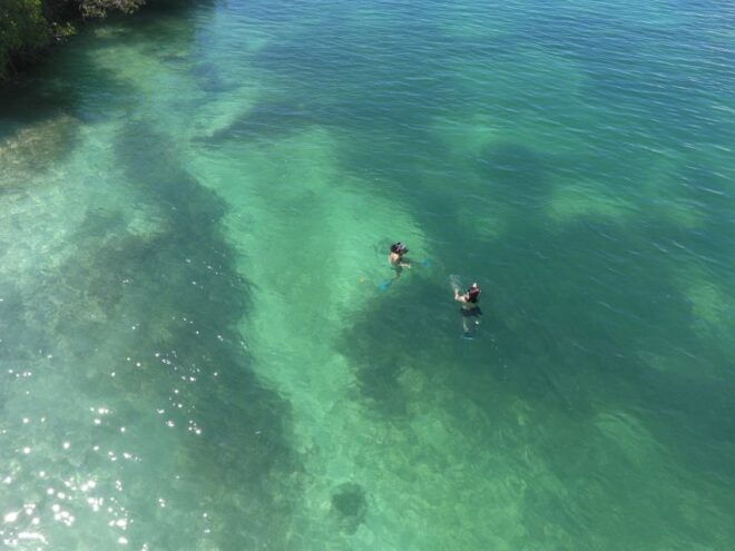 Key West: Eco Safari Tour With Snorkeling - Customer Reviews