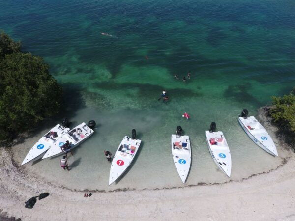 Key West: Eco Safari Tour With Snorkeling - The Sum Up