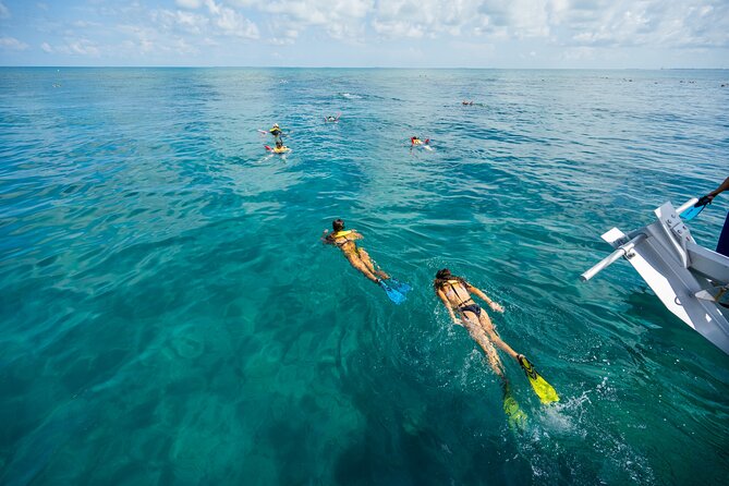 Key West Full-Day Island Ting Eco-Tour: Sail, Kayak and Snorkel - Fun and Enjoyable Trip