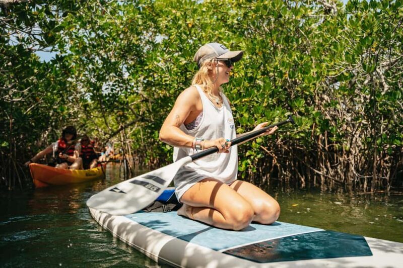 Key West: Hidden Sanctuary Kayak Tour with Sandbar Safari - Good To Know