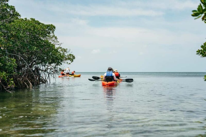 Key West: Hidden Sanctuary Kayak Tour with Sandbar Safari - FAQs