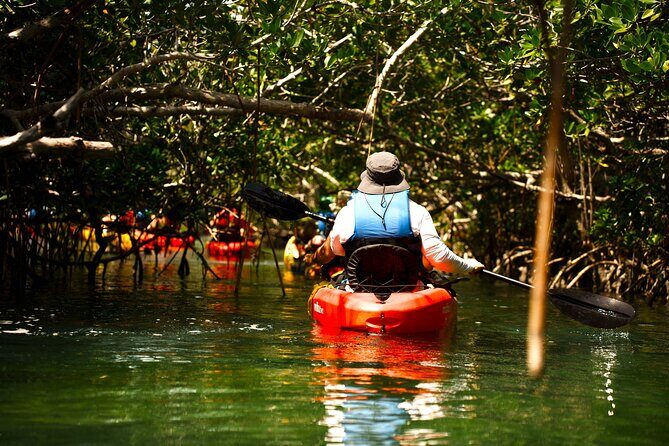 Key West Hidden Sanctuary Mangrove Kayak Tour With Drinks - An In-Depth Look at the Tour Experience