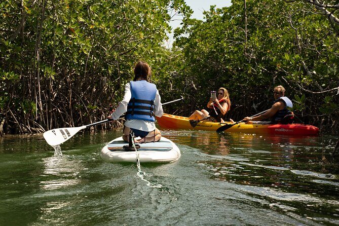 Key West Hidden Sanctuary Mangrove Kayak Tour With Drinks - Practical Information and Tips