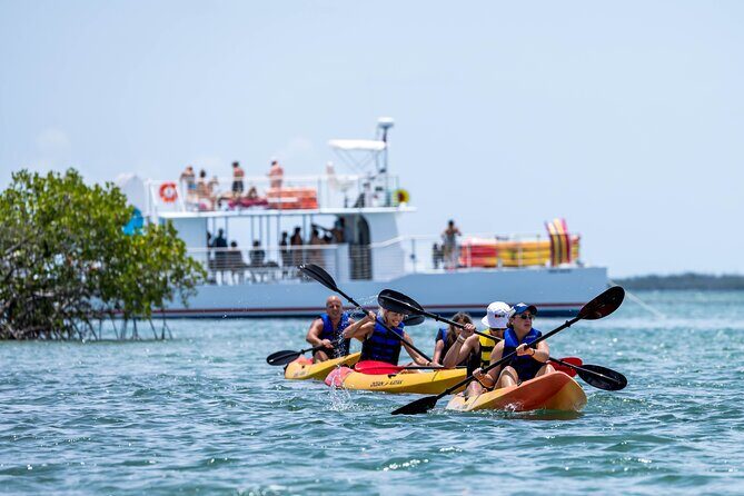Key West Hidden Sanctuary Mangrove Kayak Tour With Drinks - FAQ