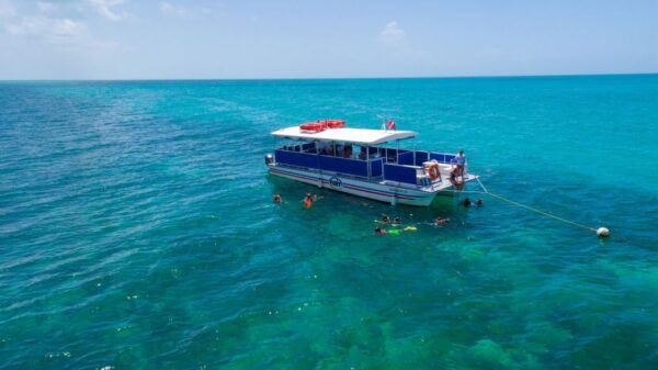 Key West Island Adventure Eco Tour - Common Questions