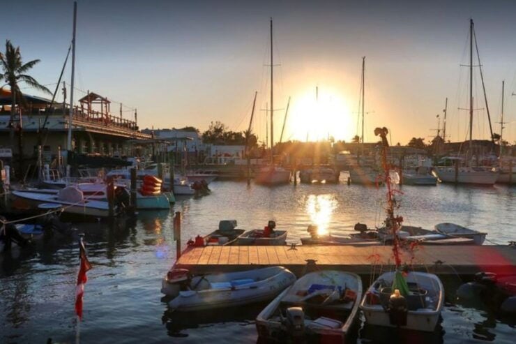 Key West: Jimmy Buffet Walking Tour With Key Lime Pie - Experience