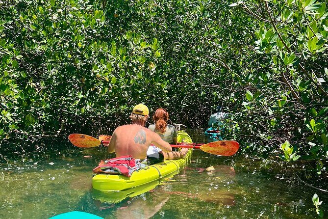 Key West Kayak Eco Tour | An Eco-Friendly Adventure Awaits! - FAQs