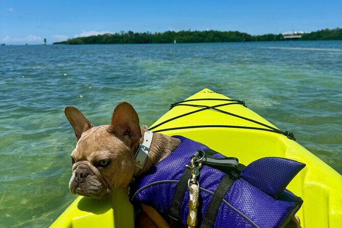 Key West Kayak Eco Tour | An Eco-Friendly Adventure Awaits! - The Experience in Detail
