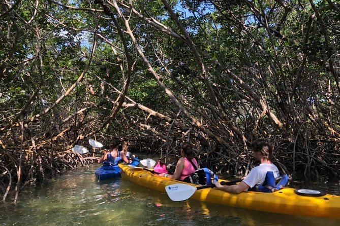 Key West Mangrove Kayak Eco Tour - Pricing and Booking