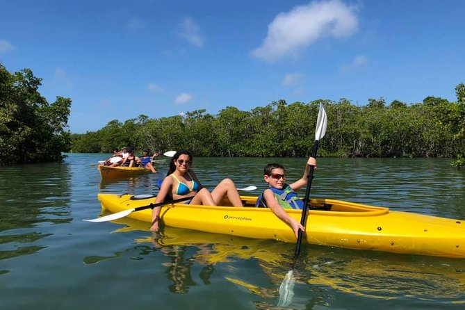 Key West Mangrove Kayak Eco Tour - Overview of the Tour