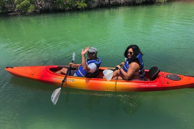 Key West Mangrove Kayak Eco Tour - What to Expect