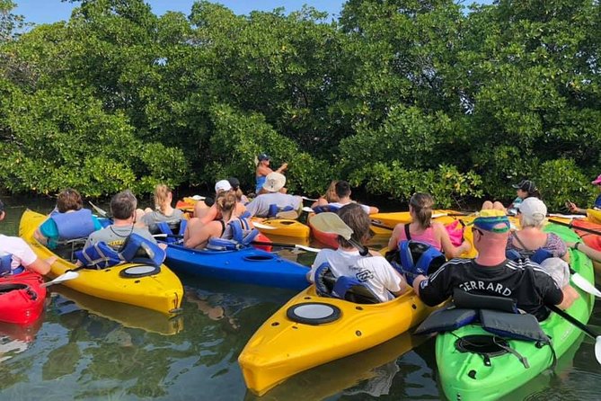Key West Mangrove Kayak Eco Tour - Traveler Photos and Reviews