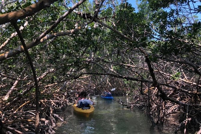Key West Mangrove Kayak Eco Tour - Additional Information