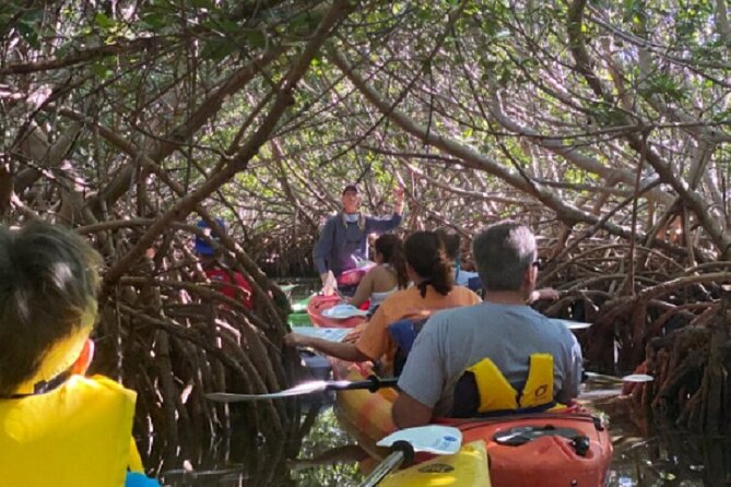 Key West Mangrove Kayak Eco Tour - Common Questions