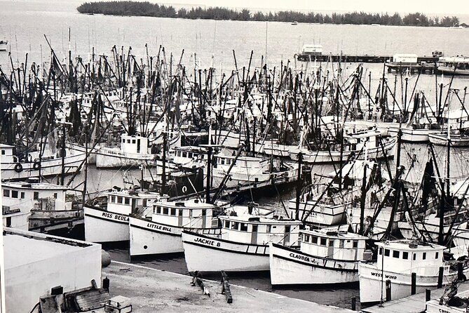 Key West Odyssey: Uncover Island Secrets, Walk by Locals - Good To Know